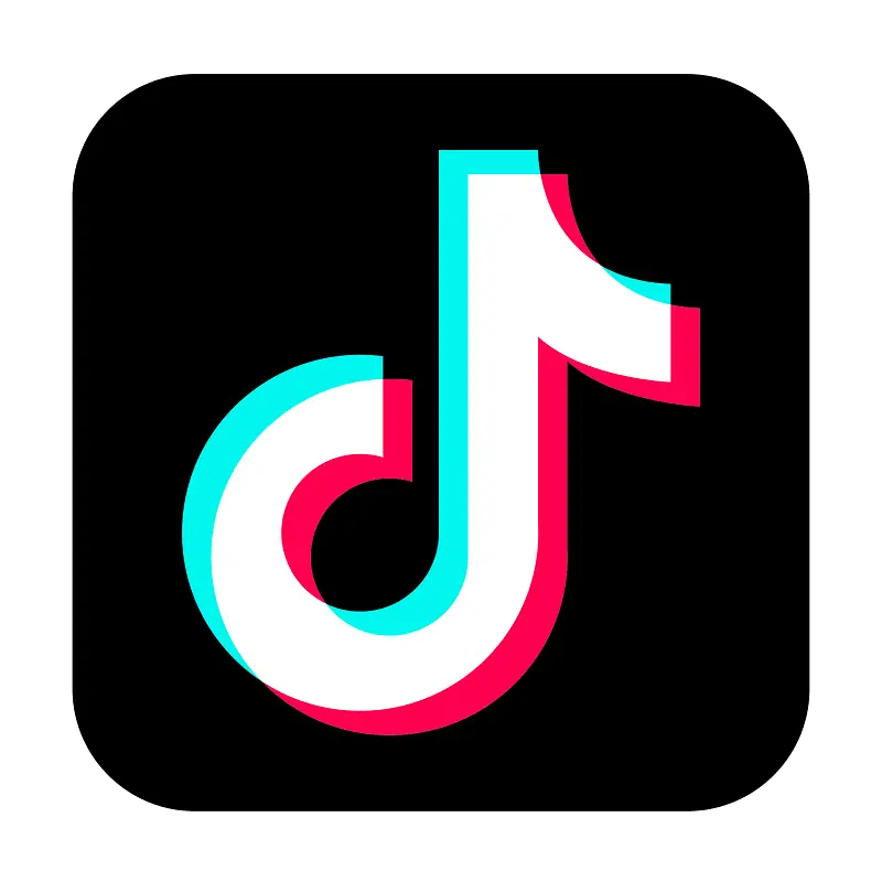 TikTok Icon