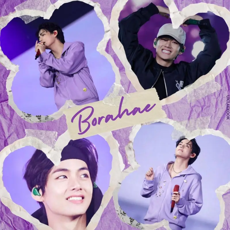News image: BORAHAE